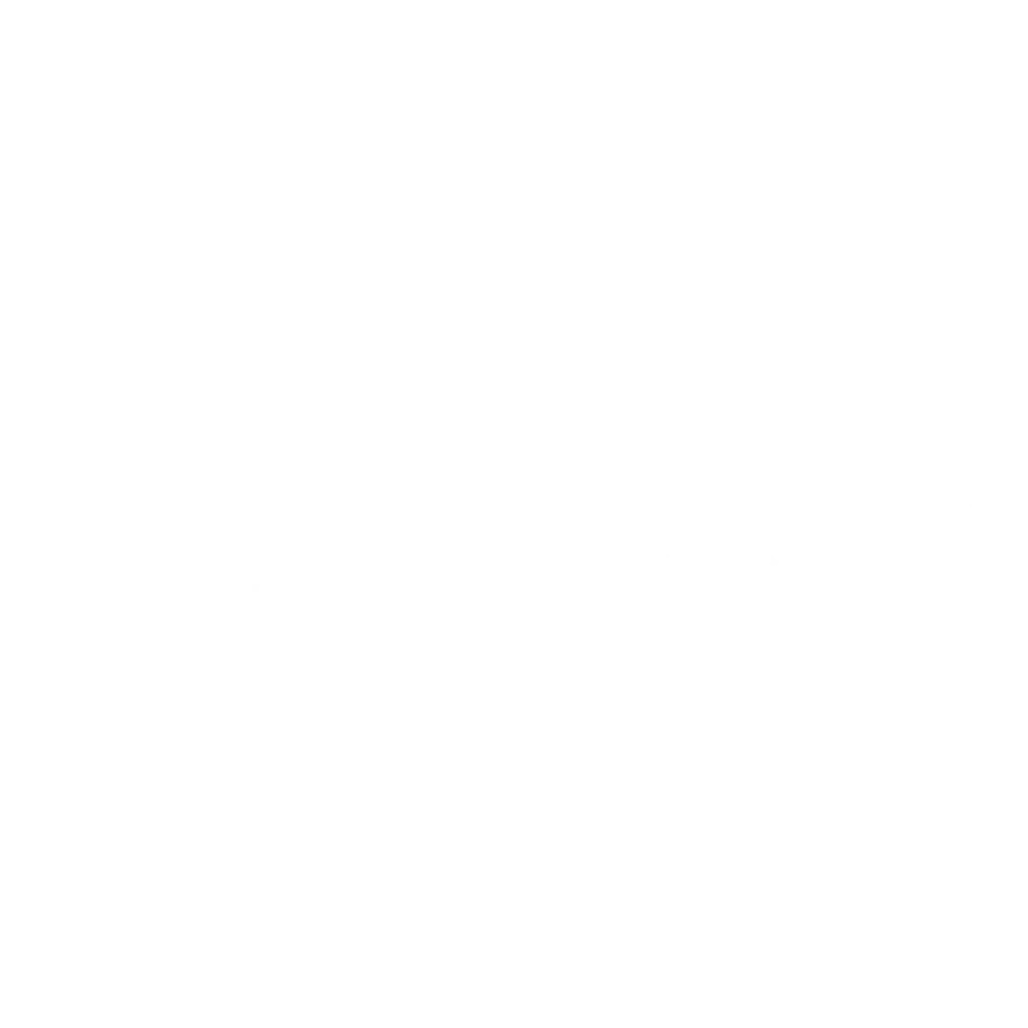 Babolat