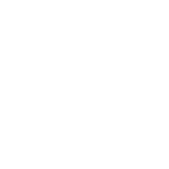 Babolat