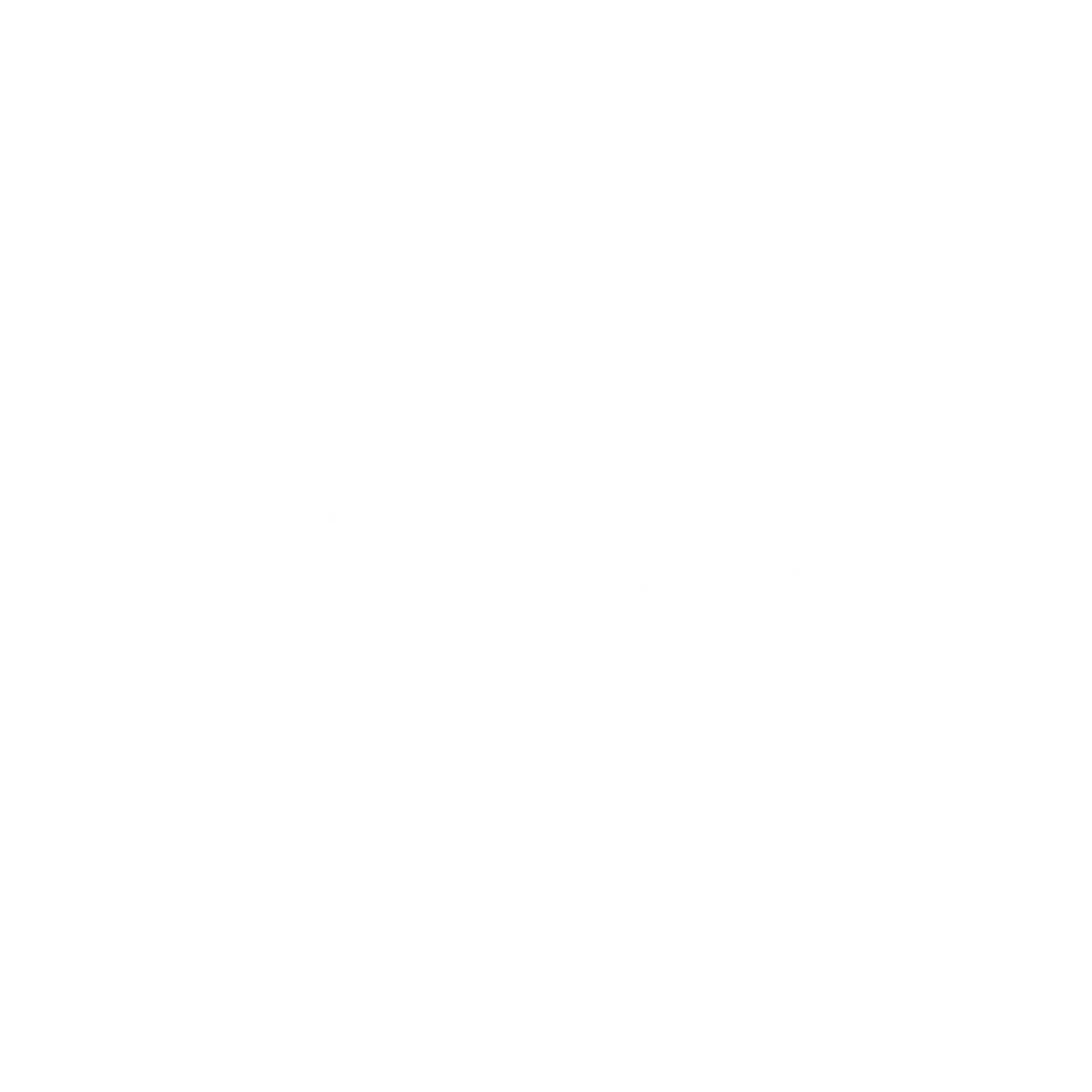 Tecnifibre