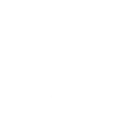Tecnifibre