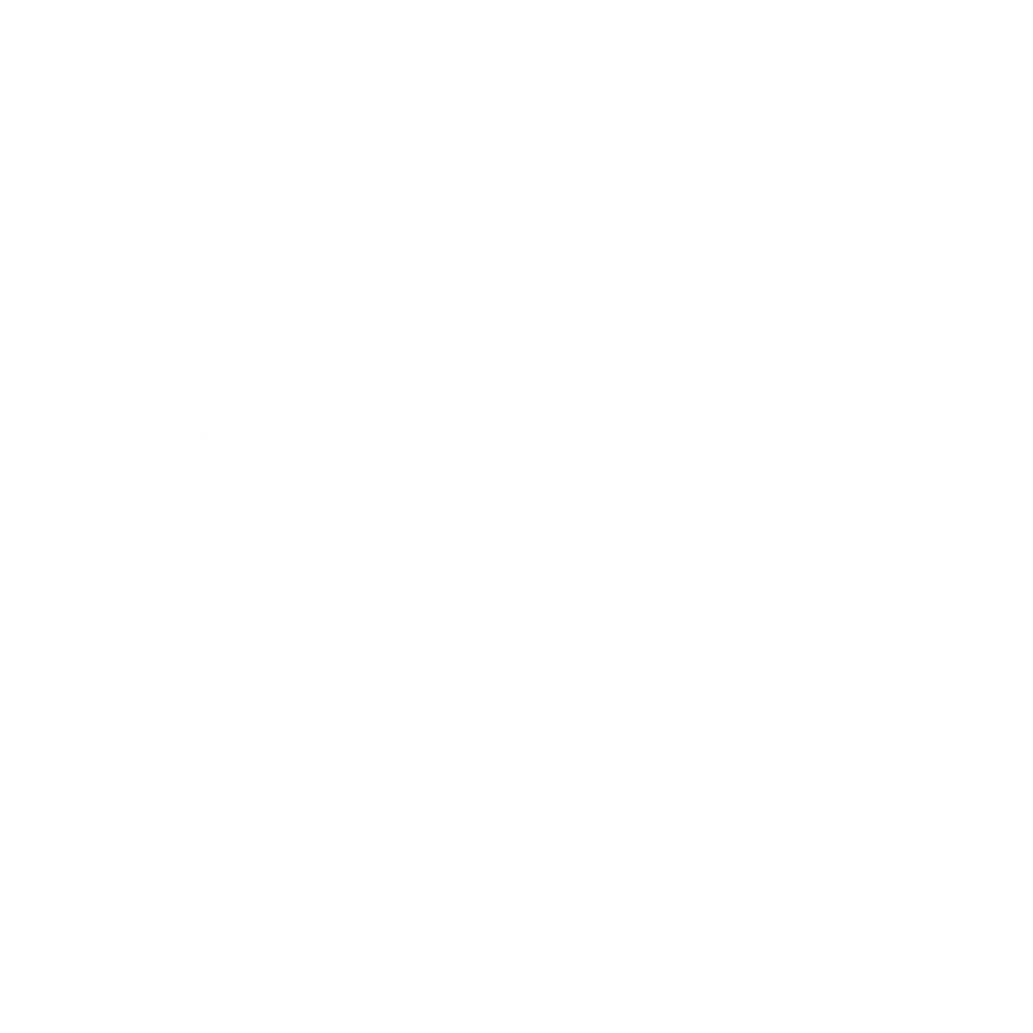 Brisk
