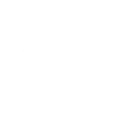 Brisk